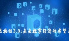揭秘区块链3.0：未来数字经济的希望与挑战