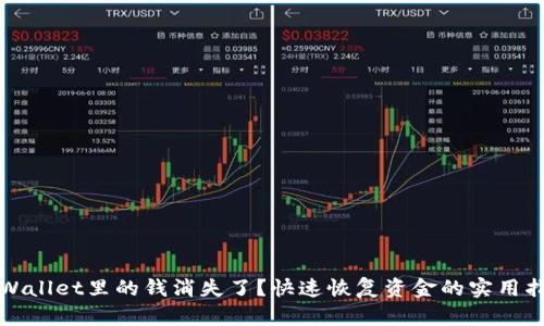 TPWallet里的钱消失了？快速恢复资金的实用指南