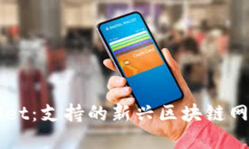 TPWallet：支持的新兴区块链网络一览