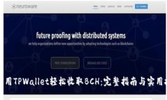 如何用TPWallet轻松收取BCH：完整指南与实用技巧