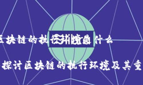 # 区块链的执行环境是什么
深入探讨区块链的执行环境及其重要性