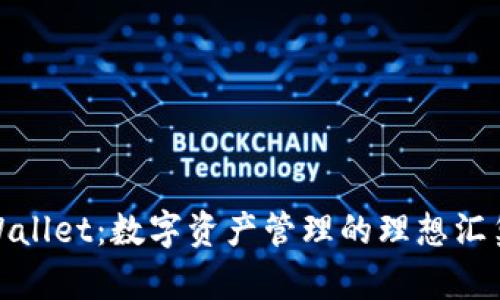 TPWallet：数字资产管理的理想汇集地