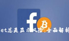 为何TPWallet总是显示风险：全面解析及解决方案