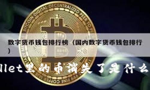 tpwallet里的币消失了是什么原因？