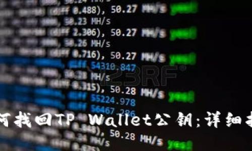 如何找回TP Wallet公钥：详细指南