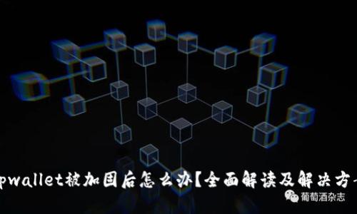 tpwallet被加固后怎么办？全面解读及解决方案