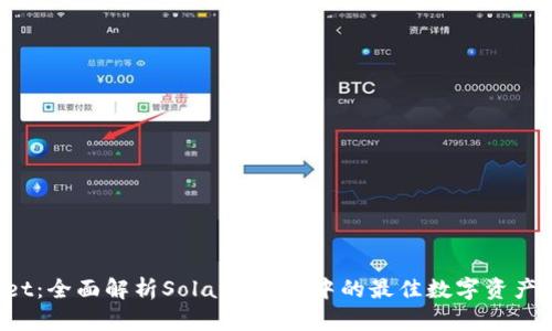 TP Wallet：全面解析Solana生态中的最佳数字资产管理工具