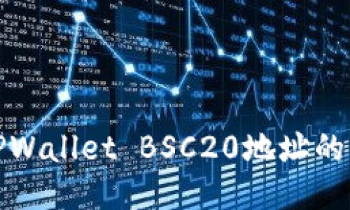深入探讨TPWallet BSC20地址的应用与优势