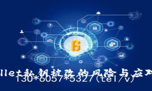 tpwallet私钥被改的风险与应对措施