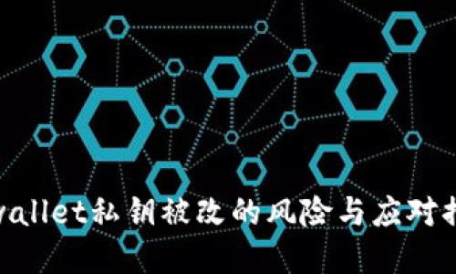 tpwallet私钥被改的风险与应对措施