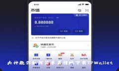 大神教你如何简单易懂地下载TPWallet