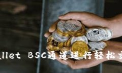 如何使用TPWallet BSC通道进行轻松交易与资产管理