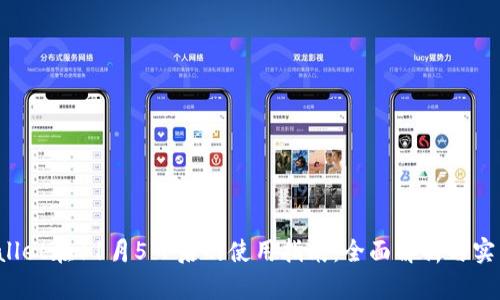 TP Wallet在11月5日后的使用指南：全面解析与实用技巧