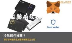 为了准确解答“怎么查看TPWallet密钥”这个问题，