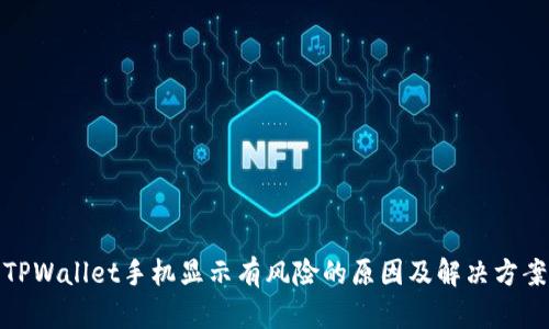 TPWallet手机显示有风险的原因及解决方案