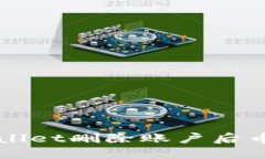 如何解决TPWallet删除账户后币种消失的问题