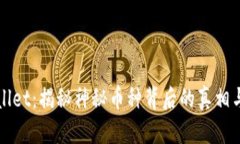 TPWallet：揭秘神秘币种背后的真相与解答