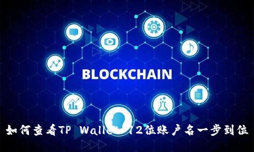 如何查看TP Wallet 12位账户名一步到位