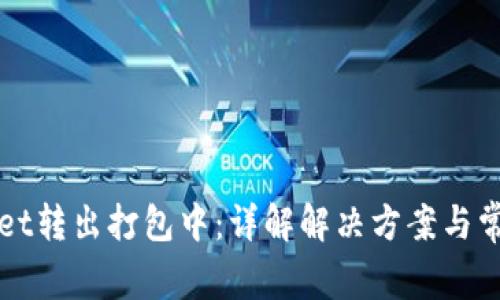 TPWallet转出打包中：详解解决方案与常见问题