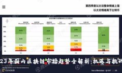: 2023年国内区块链市场趋势全解析：机遇与挑战