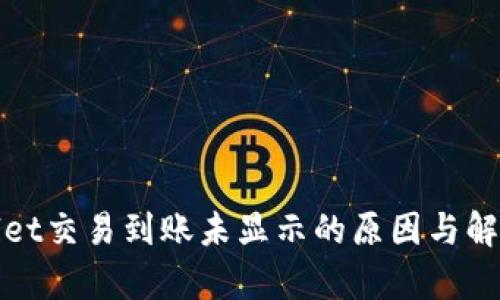 tpwallet交易到账未显示的原因与解决方法