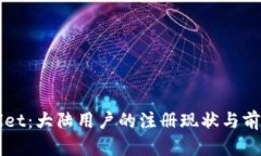 TPWallet：大陆用户的注册现状与前景分析