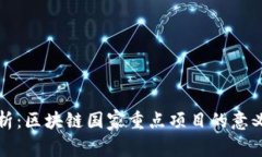 深入解析：区块链国家重点项目的意义与发展