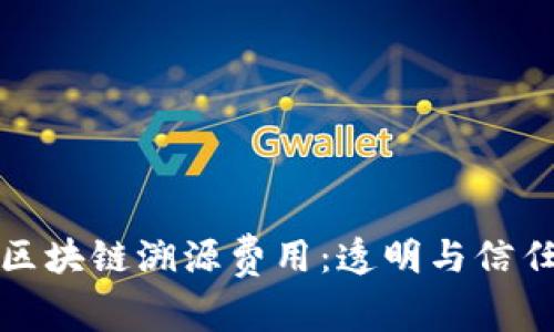 深入解析区块链溯源费用：透明与信任的新时代