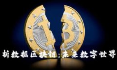 全面解析数据区块链：未来数字世界的基石