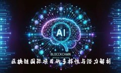 区块链国际项目的多样性与潜力解析