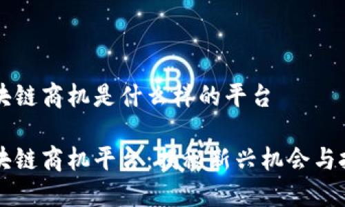 区块链商机是什么样的平台

区块链商机平台：揭秘新兴机会与挑战