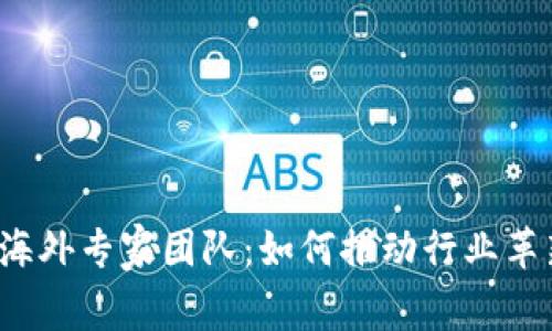  区块链海外专家团队：如何推动行业革新与发展