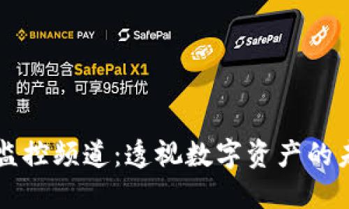 区块链监控频道：透视数字资产的未来发展