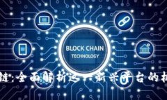 元宝区块链：全面解析这一新兴平台的机遇与挑