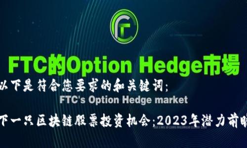 以下是符合您要求的和关键词：

下一只区块链股票投资机会：2023年潜力前瞻