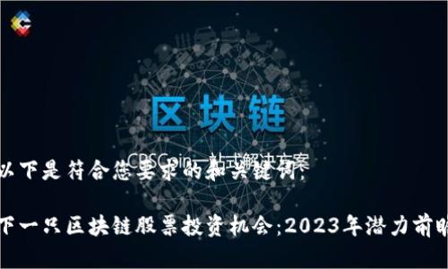 以下是符合您要求的和关键词：

下一只区块链股票投资机会：2023年潜力前瞻