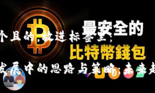 思考一个且的，放进标签里：

区块链发展中的思路与策略：未来趋势解析