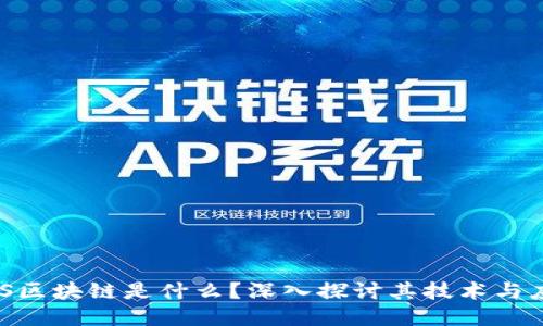 HHS区块链是什么？深入探讨其技术与应用