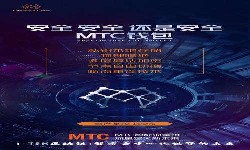 : TSH区块链：解密去中心化世界的未来