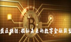币盛区块链：揭秘未来的数字金融新生态