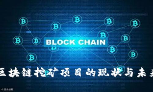 中国区块链挖矿项目的现状与未来发展