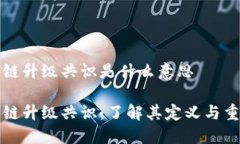 区块链升级共识是什么意思区块链升级共识：了