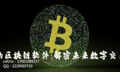 新开发的区块链软件：解密未来数字交易的革命