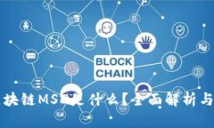 满星云区块链MSD是什么？全面解析与应用前景
