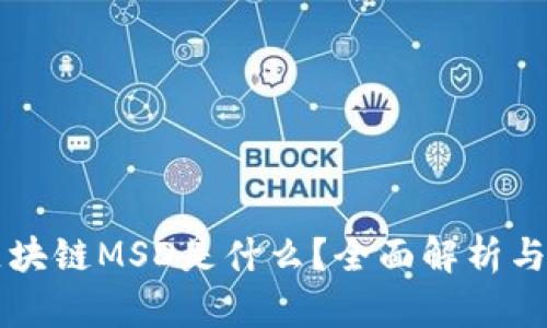 满星云区块链MSD是什么？全面解析与应用前景