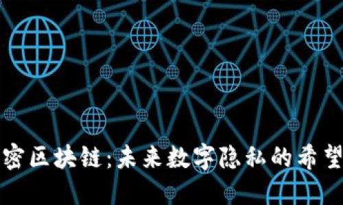 揭秘秘密区块链：未来数字隐私的希望与挑战