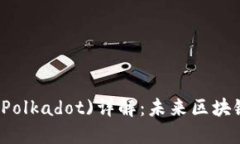 区块链波卡(Polkadot)详解：未来区块链技术的核心