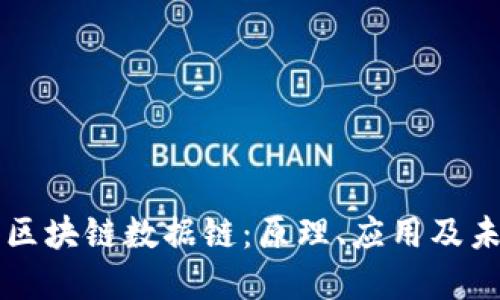 什么是区块链数据链：原理、应用及未来展望