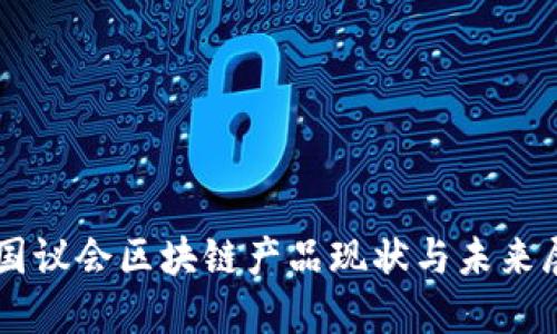 美国议会区块链产品现状与未来展望