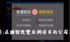 深度解析：区块链改变非洲项目的公司与其影响